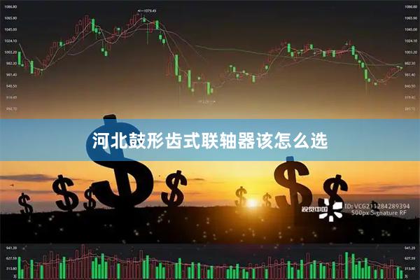 河北鼓形齿式联轴器该怎么选